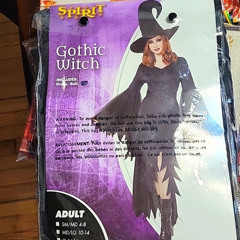 GOTHIC WITCH COSTUME EUC WORN ONCE HAT NOT INCLUDED SIZE 10-14